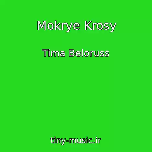 کاور آهنگ Mokrye Krosy از Tima Beloruss