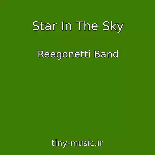 کاور آهنگ Star In The Sky از Reegonetti Band