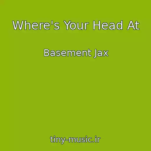 کاور آهنگ Where's Your Head At از Basement Jax