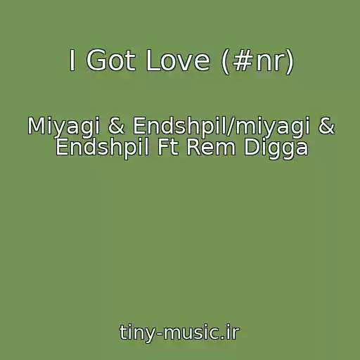 کاور آهنگ I Got Love (#nr) از Miyagi & Endshpil/miyagi & Endshpil Ft Rem Digga