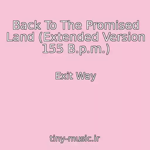 کاور آهنگ Back To The Promised Land (Extended Version 155 B.p.m.) از Exit Way