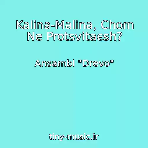 کاور آهنگ Kalina-Malina, Chom Ne Protsvіtaєsh? از Ansambl "Drevo"
