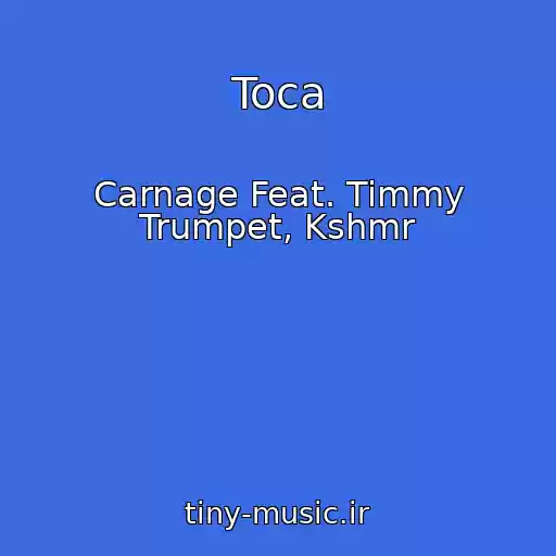 کاور آهنگ Toca از Carnage Feat. Timmy Trumpet, Kshmr