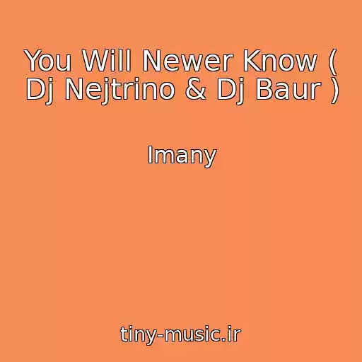 کاور آهنگ You Will Newer Know ( Dj Nejtrino & Dj Baur ) از Imany