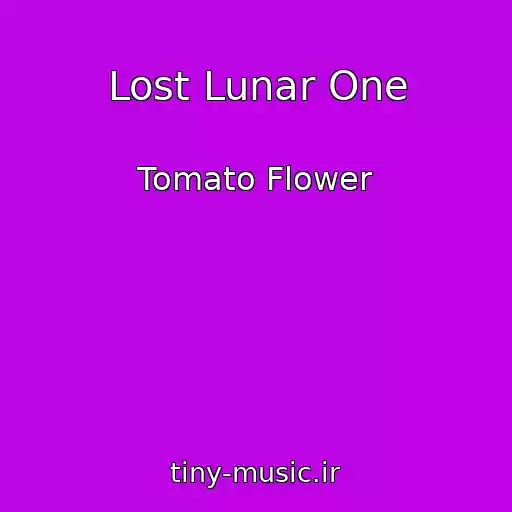 کاور آهنگ Lost Lunar One از Tomato Flower