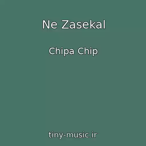 کاور آهنگ Ne Zasekal از Chipa Chip