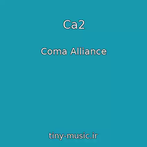 کاور آهنگ Ca2 از Coma Alliance