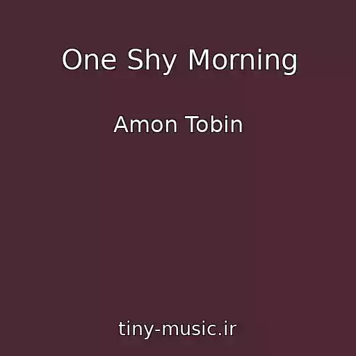 کاور آهنگ One Shy Morning از Amon Tobin