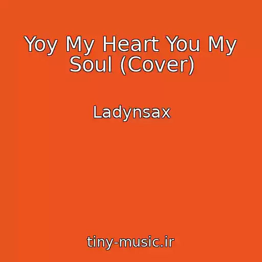 کاور آهنگ Yoy My Heart You My Soul (Cover) از Ladynsax
