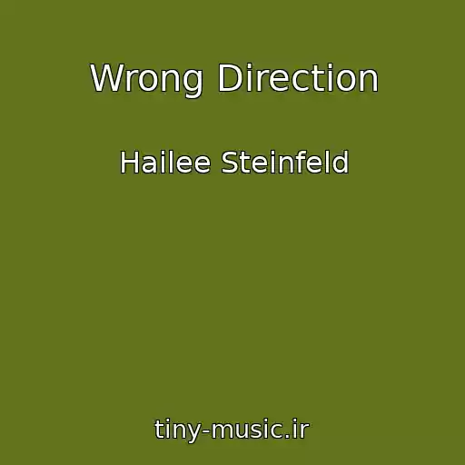 کاور آهنگ Wrong Direction از Hailee Steinfeld