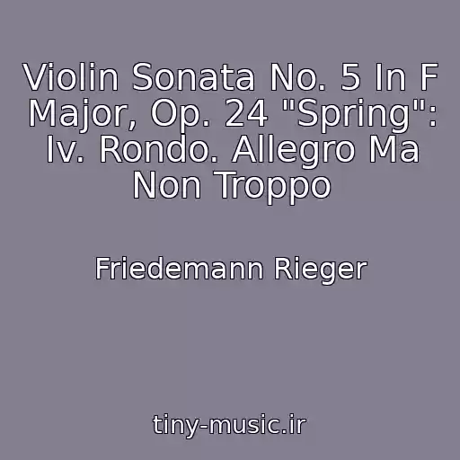 کاور آهنگ Violin Sonata No. 5 In F Major, Op. 24 "Spring": Iv. Rondo. Allegro Ma Non Troppo از Friedemann Rieger