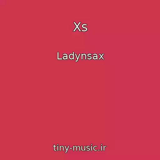 کاور آهنگ Xs از Ladynsax