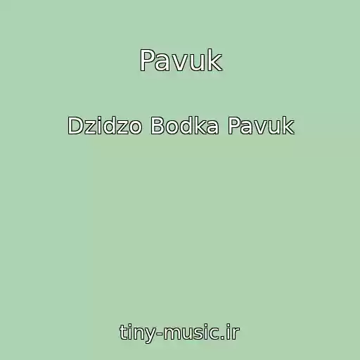 کاور آهنگ Pavuk از Dzidzo Bodka Pavuk