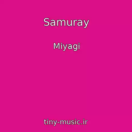 کاور آهنگ Samuray از Miyagi