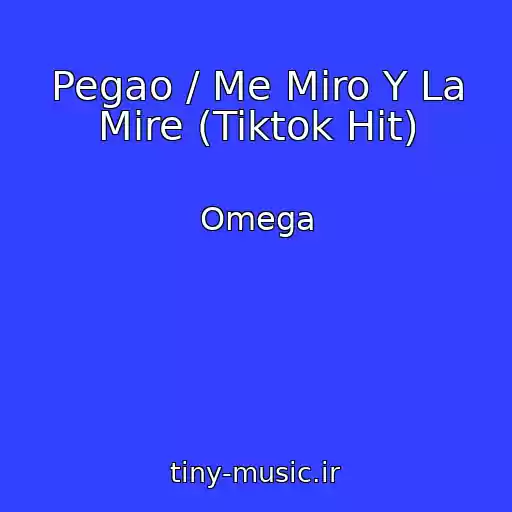 کاور آهنگ Pegao / Me Miro Y La Mire (Tiktok Hit) از Omega