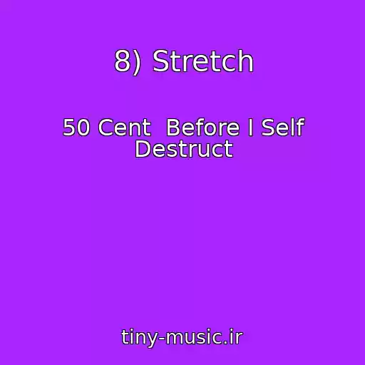 کاور آهنگ 8) Stretch از 50 Cent  Before I Self Destruct