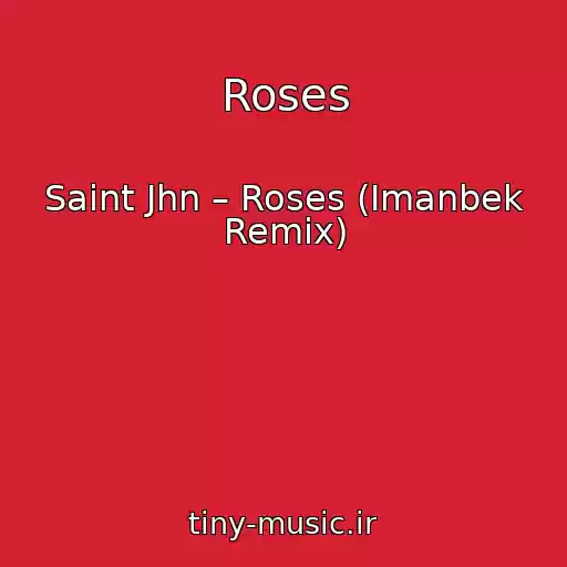 کاور آهنگ Roses از Saint Jhn – Roses (Imanbek Remix)