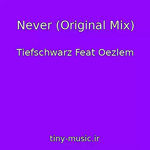 کاور آهنگ Never (Original Mix) از Tiefschwarz Feat Oezlem
