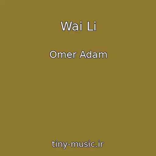 کاور آهنگ Wai Li از Omer Adam