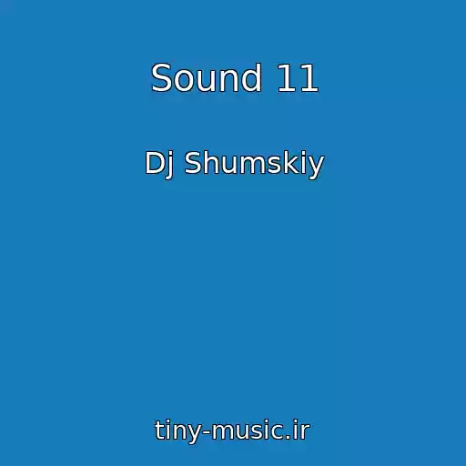 کاور آهنگ Sound 11 از Dj Shumskiy