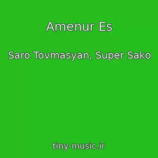 کاور آهنگ Amenur Es از Saro Tovmasyan, Super Sako