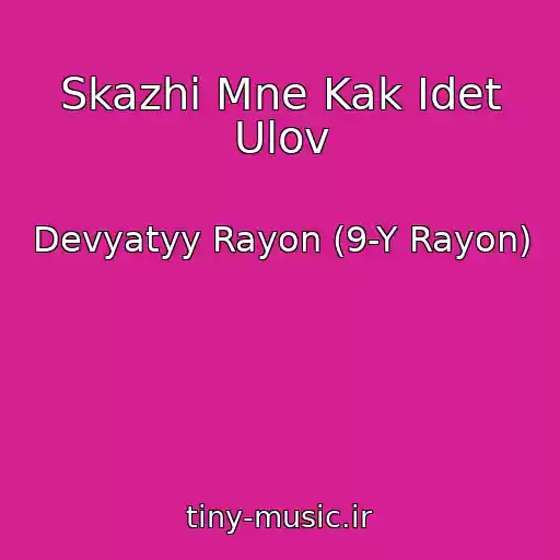 کاور آهنگ Skazhi Mne Kak Idet Ulov از Devyatyy Rayon (9-Y Rayon)
