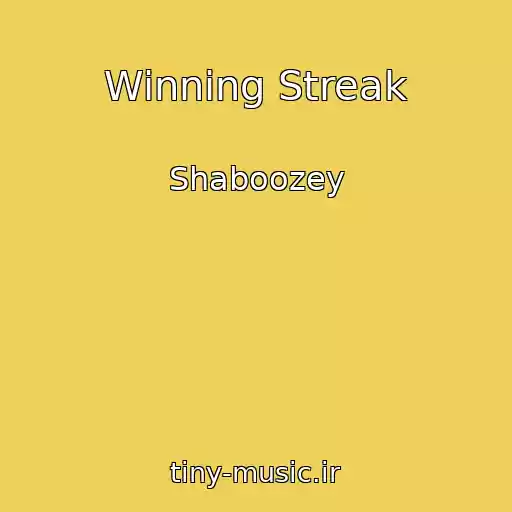 کاور آهنگ Winning Streak از Shaboozey