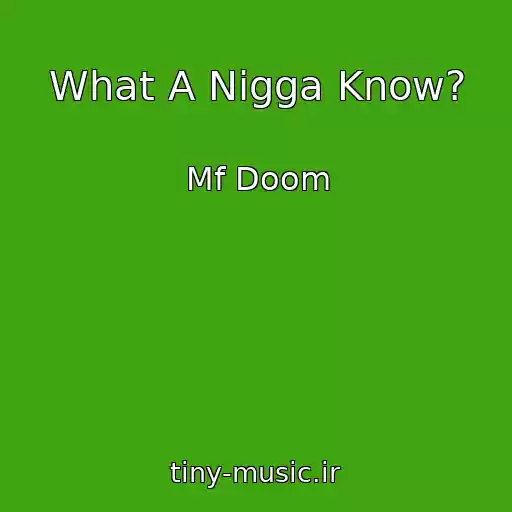 کاور آهنگ What A Nigga Know? از Mf Doom