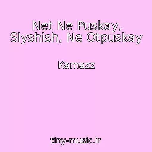 کاور آهنگ Net Ne Puskay, Slyshish, Ne Otpuskay از Kamazz