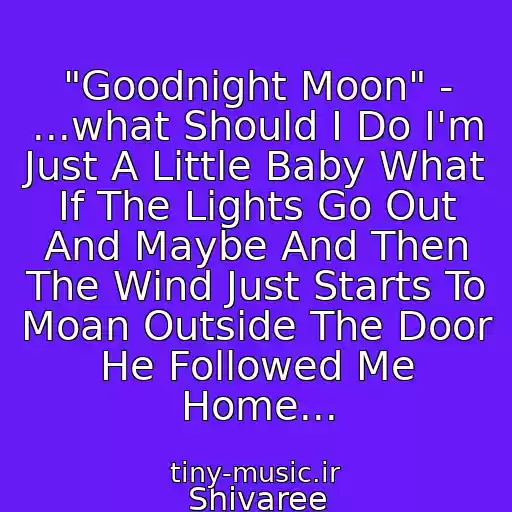 کاور آهنگ "Goodnight Moon" - ...what Should I Do I'm Just A Little Baby What If The Lights Go Out And Maybe And Then The Wind Just Starts To Moan Outside The Door He Followed Me Home... از Shivaree