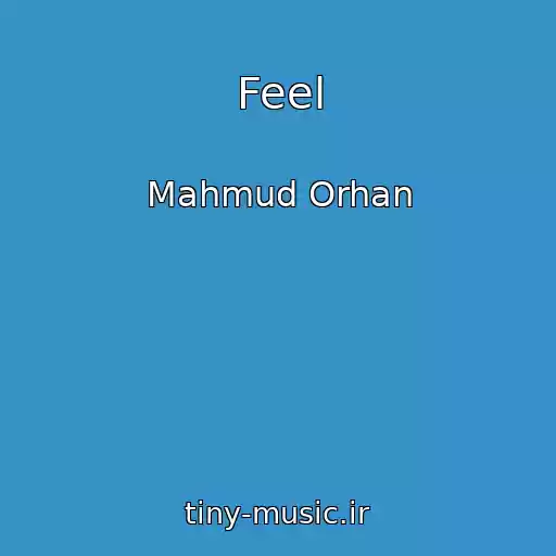 کاور آهنگ Feel از Mahmud Orhan