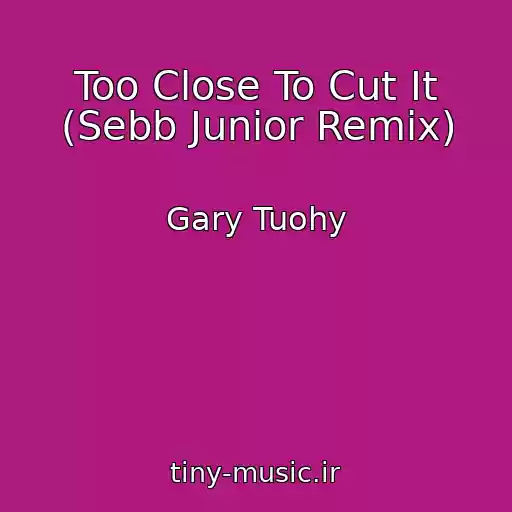 کاور آهنگ Too Close To Cut It (Sebb Junior Remix) از Gary Tuohy