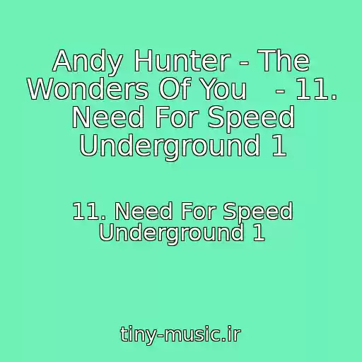 کاور آهنگ Andy Hunter - The Wonders Of You   - 11. Need For Speed Underground 1 از 11. Need For Speed Underground 1