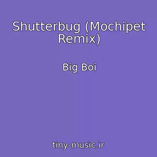 کاور آهنگ Shutterbug (Mochipet Remix) از Big Boi