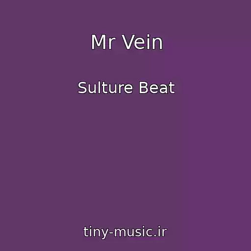 کاور آهنگ Mr Vein از Sulture Beat