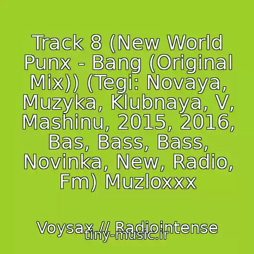 کاور آهنگ Track 8 (New World Punx - Bang (Original Mix)) (Tegi: Novaya, Muzyka, Klubnaya, V, Mashinu, 2015, 2016, Bas, Bass, Bass, Novinka, New, Radio, Fm) Muzloxxx از Voysax // Radiointense