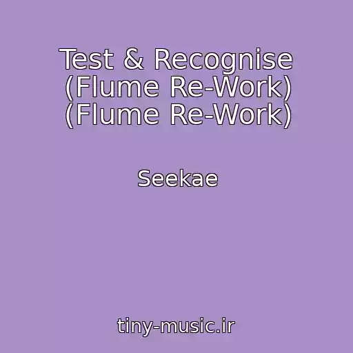 کاور آهنگ Test & Recognise (Flume Re-Work) (Flume Re-Work) از Seekae