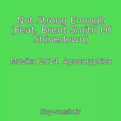 کاور آهنگ Not Strong Enough (Feat. Brent Smith Of Shinedown) از Muzika 2014  Apocalyptica