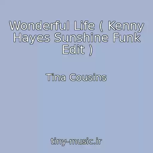 کاور آهنگ Wonderful Life ( Kenny Hayes Sunshine Funk Edit ) از Tina Cousins