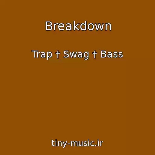 کاور آهنگ Breakdown از Trap † Swag † Bass