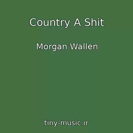 کاور آهنگ Country A Shit از Morgan Wallen