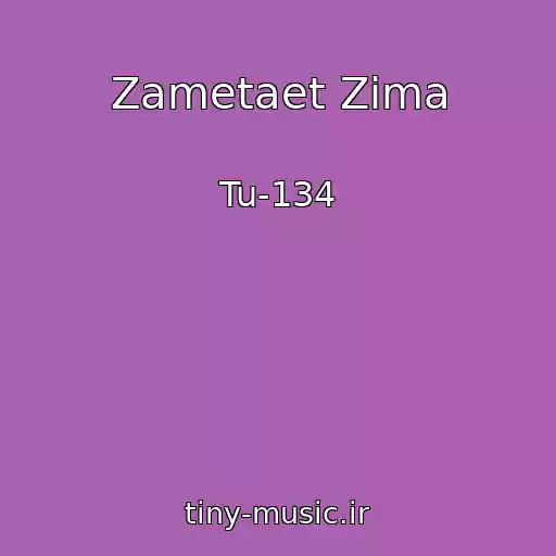 کاور آهنگ Zametaet Zima از Tu-134