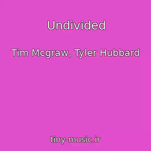 کاور آهنگ Undivided از Tim Mcgraw, Tyler Hubbard