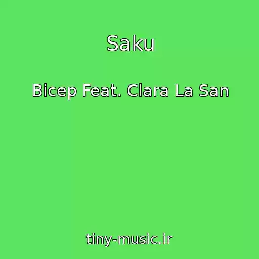 کاور آهنگ Saku از Bicep Feat. Clara La San