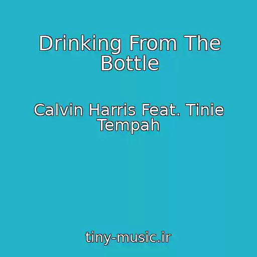 کاور آهنگ Drinking From The Bottle از Calvin Harris Feat. Tinie Tempah