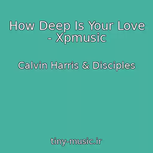 کاور آهنگ How Deep Is Your Love - Xpmusic از Calvin Harris & Disciples