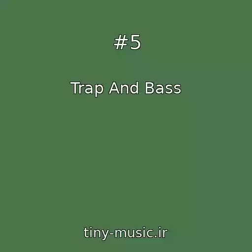 کاور آهنگ #5 از Trap And Bass