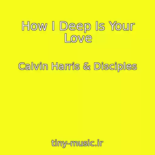 کاور آهنگ How I Deep Is Your Love از Calvin Harris & Disciples