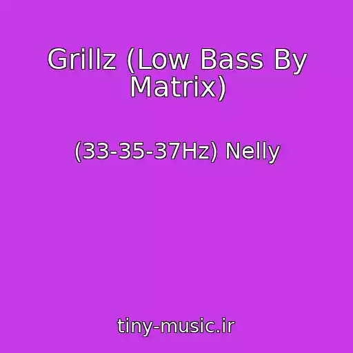 کاور آهنگ Grillz (Low Bass By Matrix) از (33-35-37Hz) Nelly