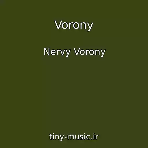 کاور آهنگ Vorony از Nervy Vorony